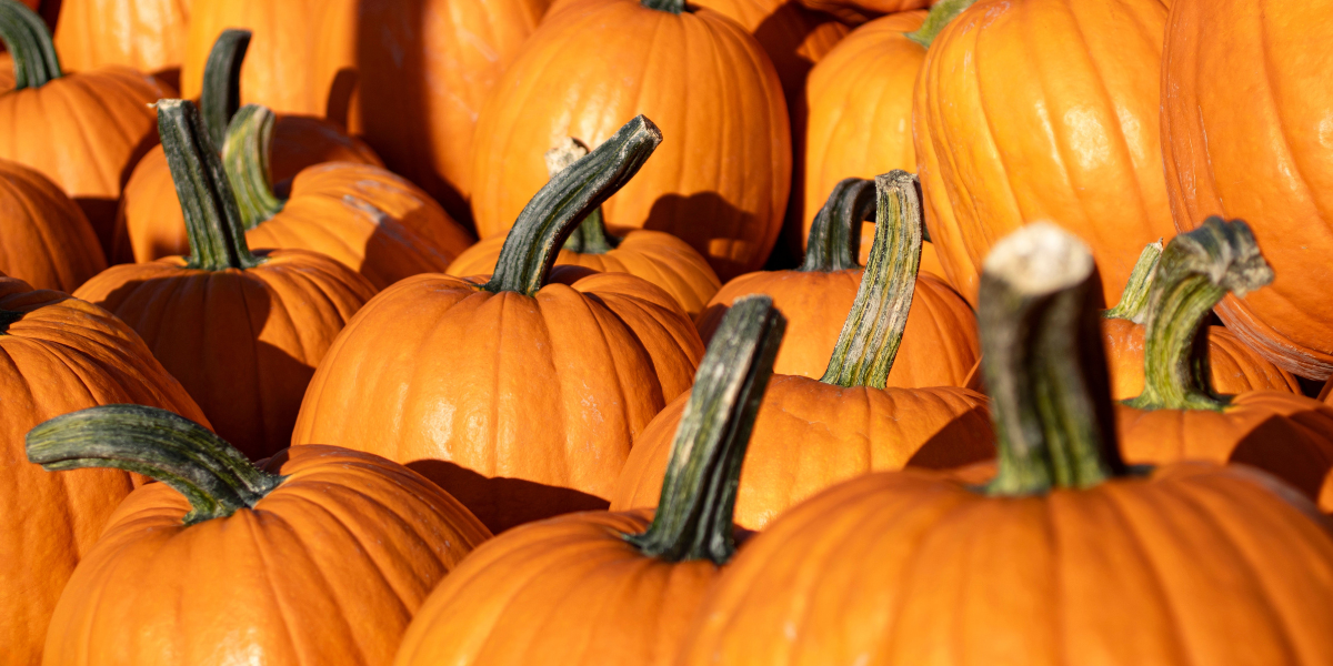 Pumpkins